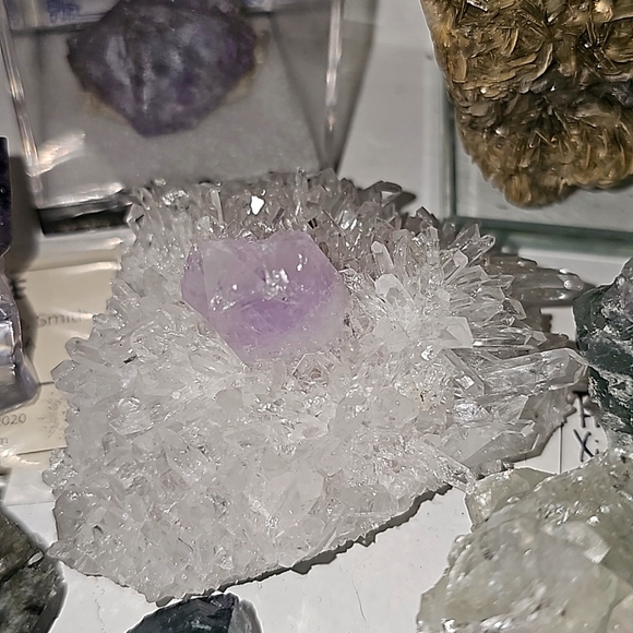 Other - chrysanthemum amethyst cluster